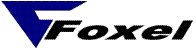 Logo Firmy Foxel